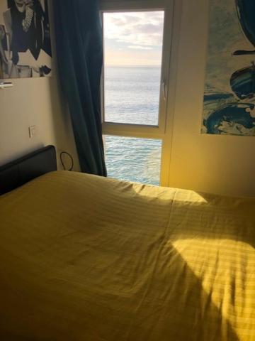 Appartement Cosy Les Pieds Dans L'Eau, Vue Mer Exceptionnelle Crozon Dış mekan fotoğraf