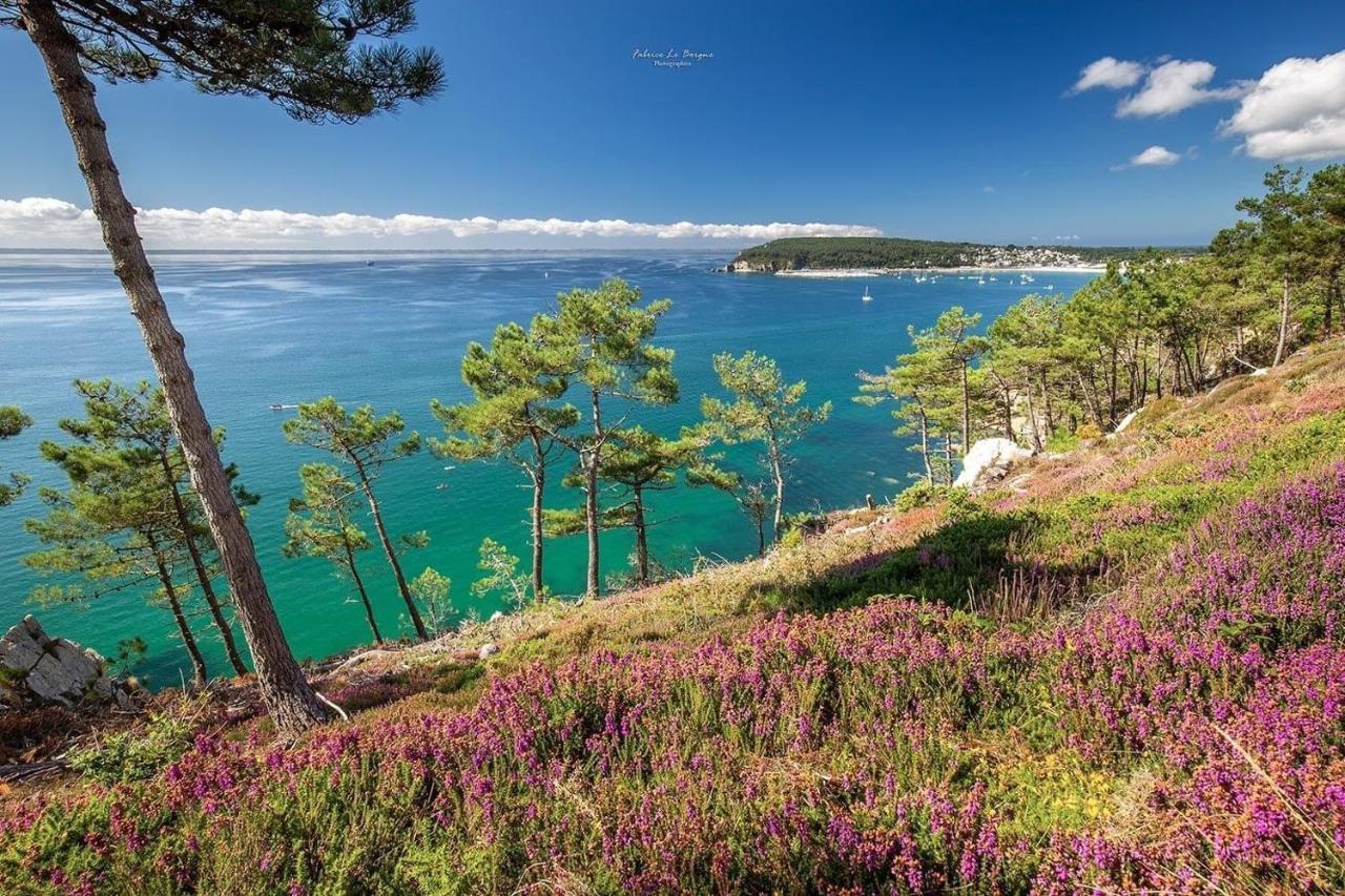 Appartement Cosy Les Pieds Dans L'Eau, Vue Mer Exceptionnelle Crozon Dış mekan fotoğraf