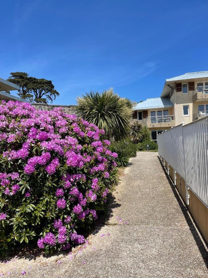 Appartement Cosy Les Pieds Dans L'Eau, Vue Mer Exceptionnelle Crozon Dış mekan fotoğraf